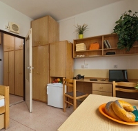 Общежития ЧЗУ Прага 6