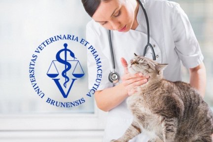 Обзор вуза: Ветеринарно-фармацевтический университет в Брно (VFL)
