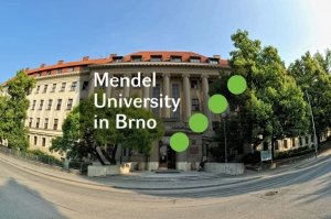 Университет имени Менделя в Брно — программы обучения, факультеты, конкурс и экзамены