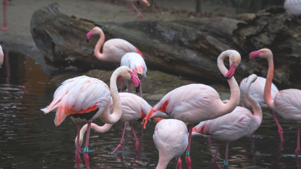 Весенние каникулы в Праге – 2022 - 0-3