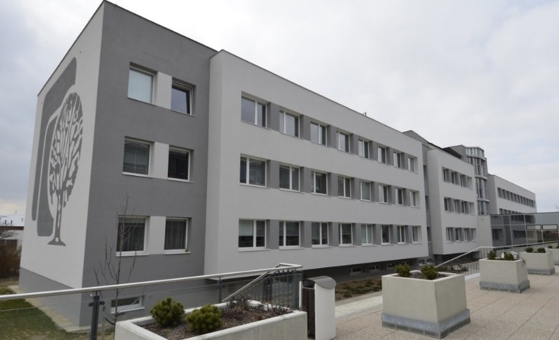 Образование на английском в ČZU