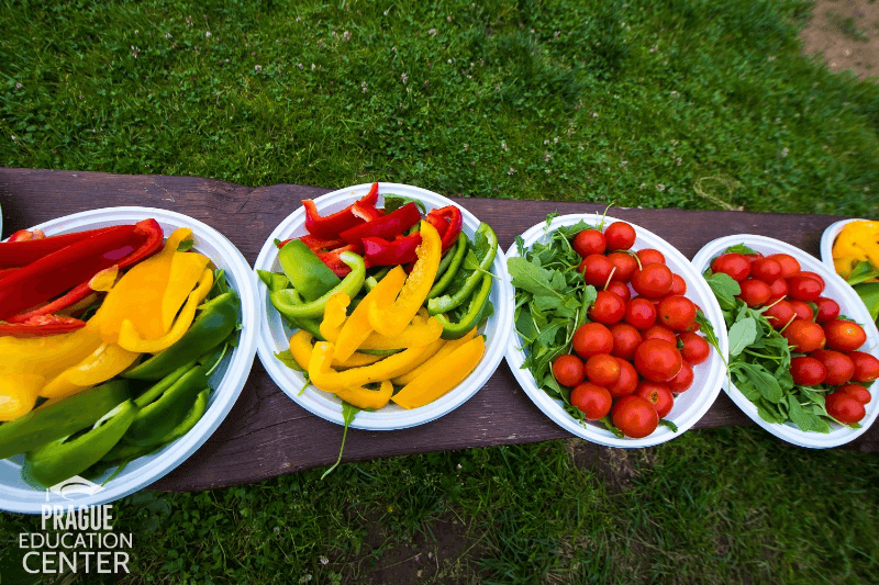 Как сократить расходы на учебу в Чехии? - 4