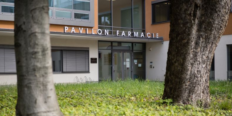 фармацевтический факультет в Брно