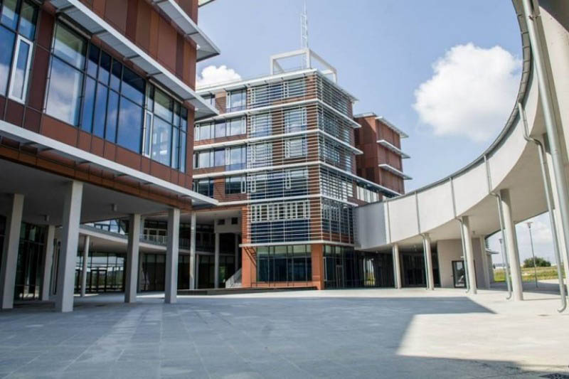 Перспективные направления в высшем образовании