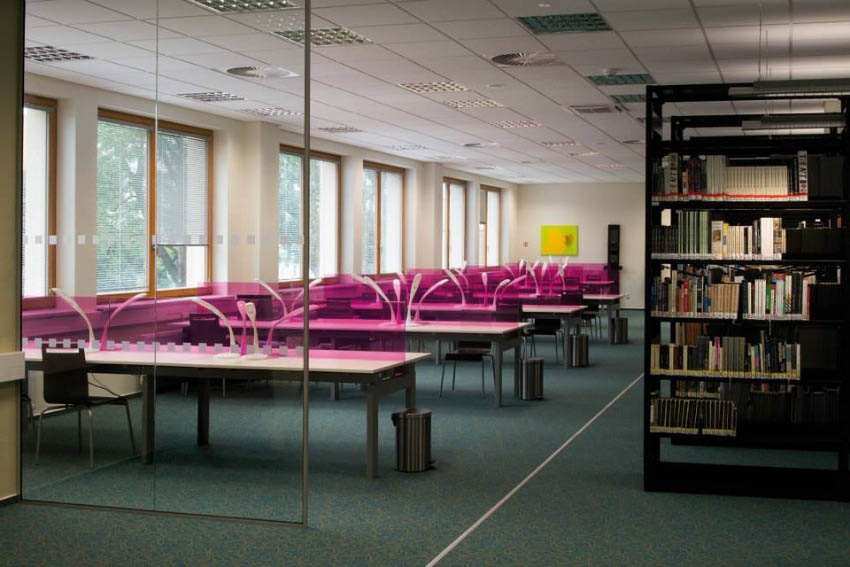 Андрогогика на педагогическом факультете Масарикова университета в Чехии