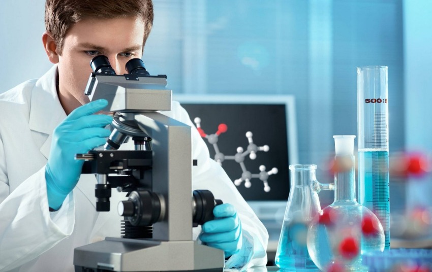 биофизика в чешских вузах