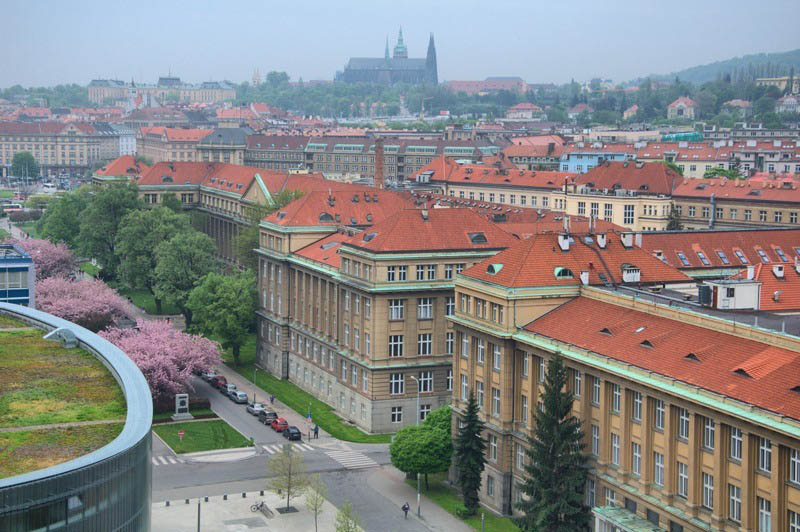 Факультеты и направления в ВШХТ