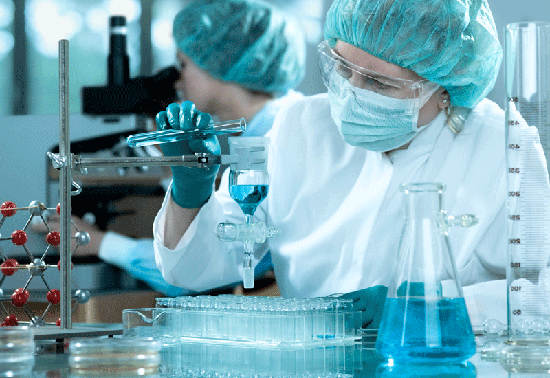 Где в Чехии учиться на фармацевта?