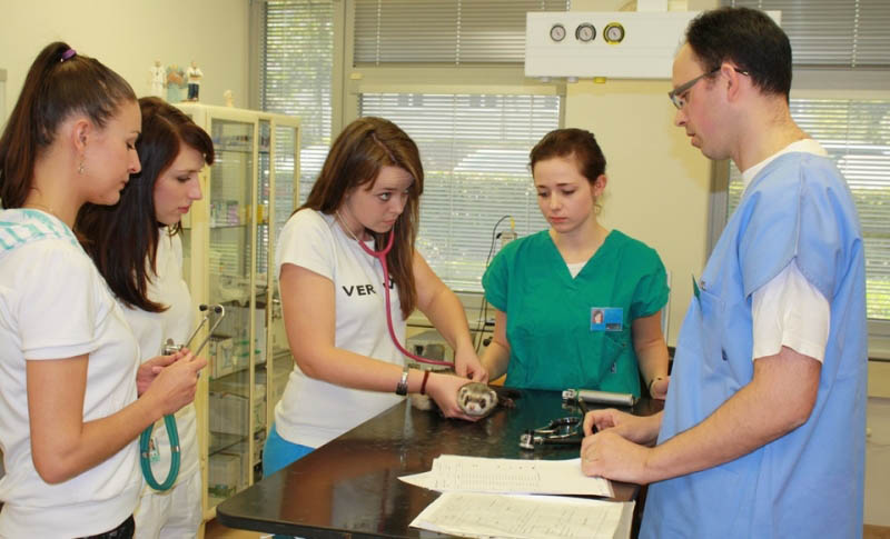 Veterinární a farmaceutická univerzita Brno (VFU) - государственный университет в Чехии