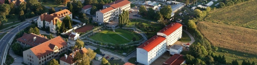 Университет Менделя в Брно - экзамены, конкурс