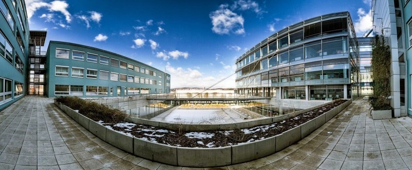 Университет Менделя в Брно - 2018